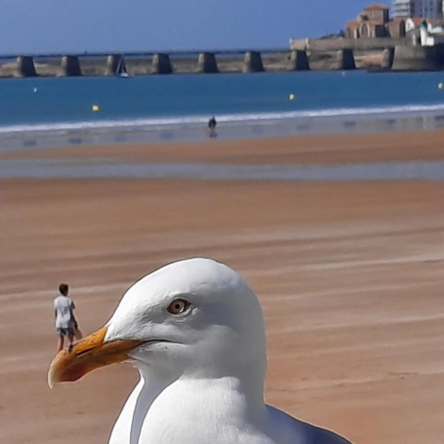Appartement Vue Sur Mer Les Sables-dʼOlonne 외부 사진